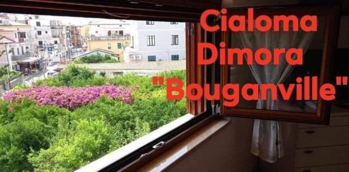 Cialoma Full Green Марина ди Камерота Екстериор снимка