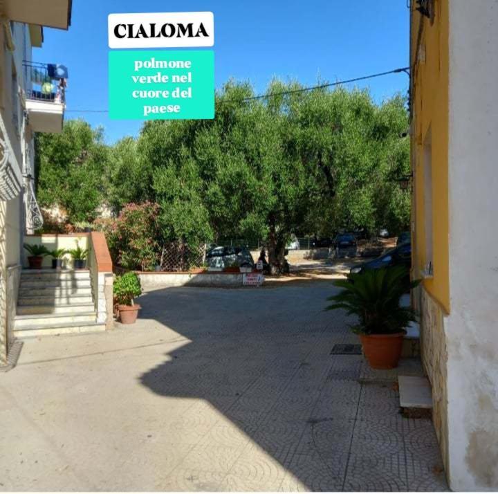 Cialoma Full Green Марина ди Камерота Стая снимка